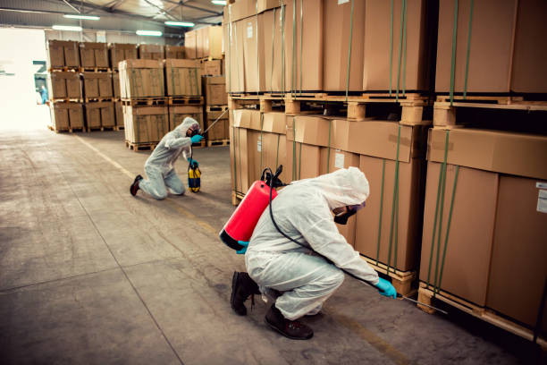 Best Pest Inspection Near Me  in Justice, IL