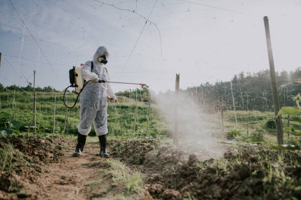 Best Mosquito Control Services  in Justice, IL