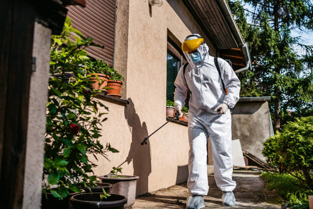 Flea Control Services in Justice, IL