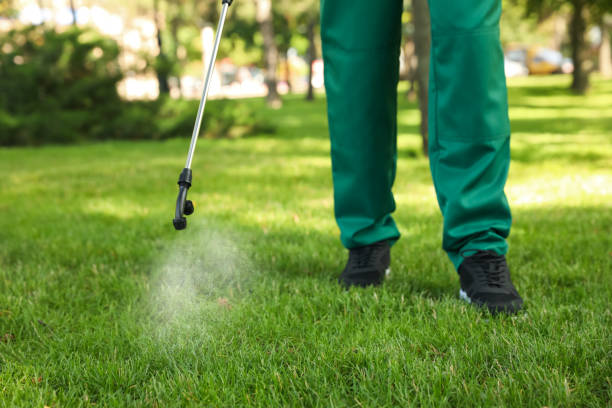 Best Affordable Pest Control Services  in Justice, IL