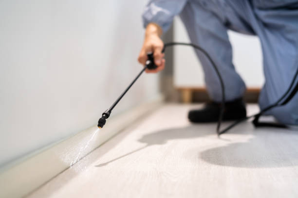 Best Pest Removal Services  in Justice, IL