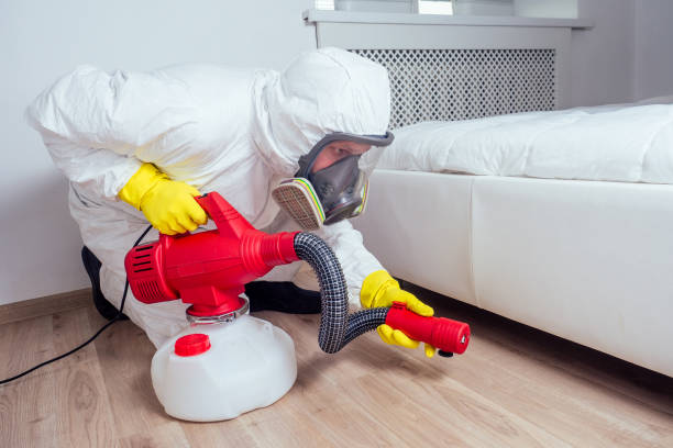 Best Bed Bug Extermination  in Justice, IL
