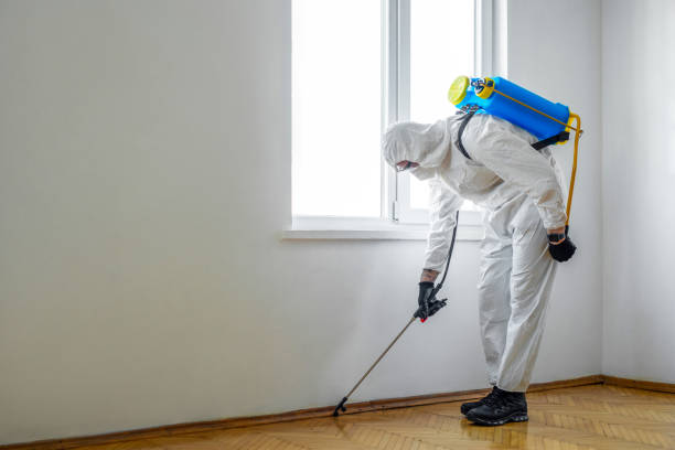 Best Wildlife Control Services  in Justice, IL