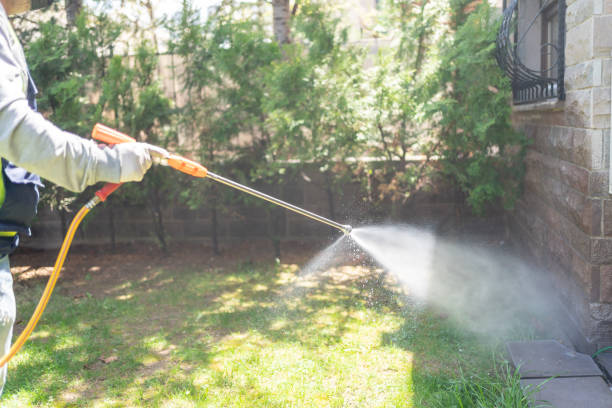 Best Emergency Pest Control  in Justice, IL