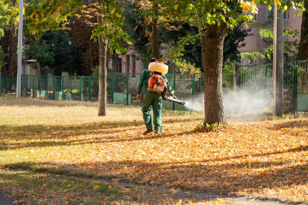 Best Pest Control Near Me in Justice, IL