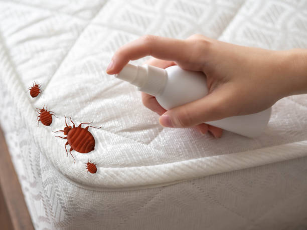 Justice, IL Pest Control Company
