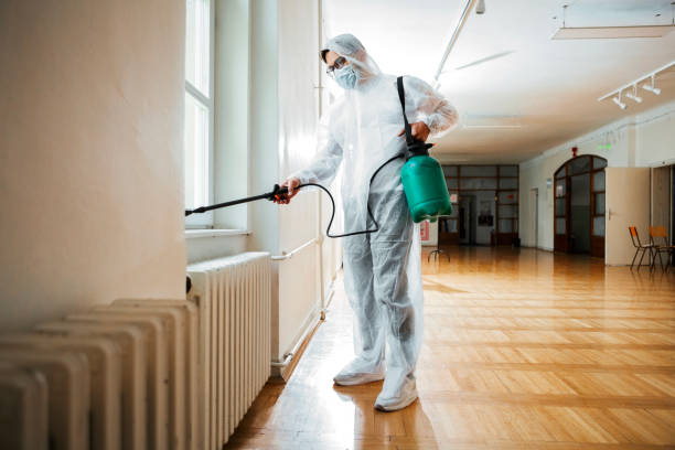 Best Exterminator Services  in Justice, IL