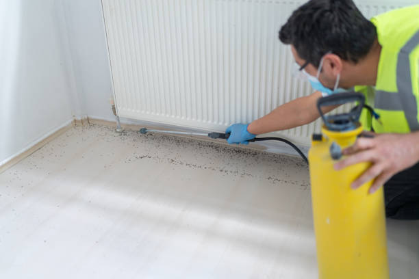 Best Pest Removal Services  in Justice, IL