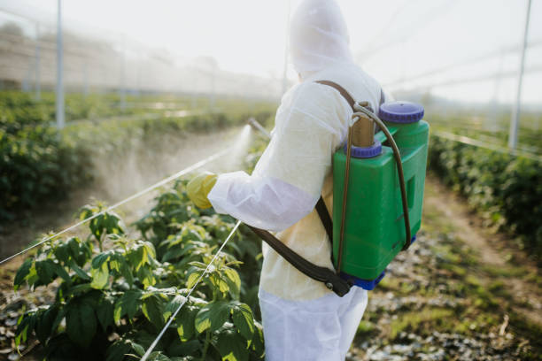 Best Pest Control for Homes  in Justice, IL